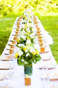 a picnic wedding