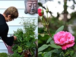 mom+rose