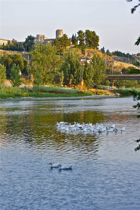 the rio tajo Toledo